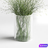 Grass in vases 2 3D Model Corona