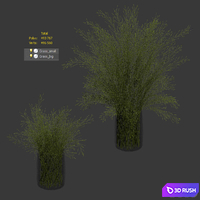 Grass in vases 2 3D Model Corona