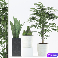 Plants 188 3D Model Vray