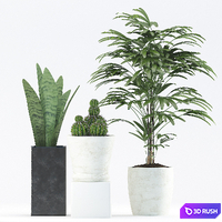 Plants 188 3D Model Vray
