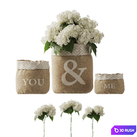 White Hydrangea Changeable Vase 3D Model Corona