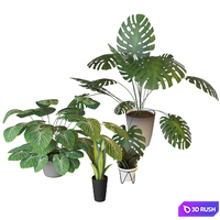 Houseplants set 2 3D Model Corona