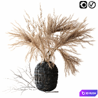 Brown pampas 3D Model Vray, Corona