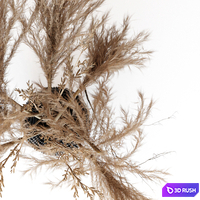 Brown pampas 3D Model Vray, Corona