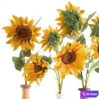 A set of bouquets of yellow flowers in clay vases with Sunflower 132. 3D Model Vray
