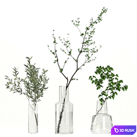 Bouquet 35 3D Model Vray, Corona