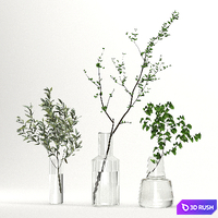 Bouquet 35 3D Model Vray, Corona