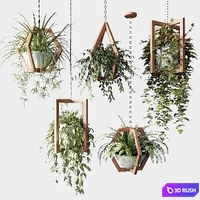 Ampelous plants in wooden figured hanging pots 3D Model Corona