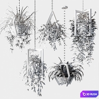 Ampelous plants in wooden figured hanging pots 3D Model Corona