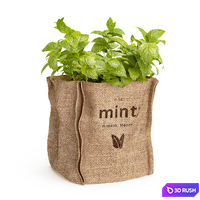 Mint in a burlap pot 3D Model Vray, Corona