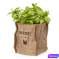 Mint in a burlap pot 3D Model Vray, Corona