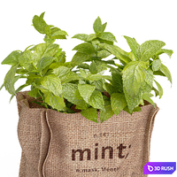 Mint in a burlap pot 3D Model Vray, Corona
