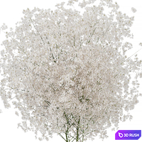 Babys Breath Bouquet In Gold Vase 3D Model Vray, Corona