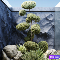 HQ Plants Indoor Set Box Glass 3D Model Vray, Corona