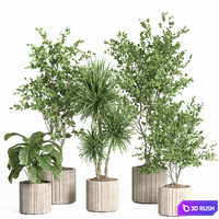 Indoor plant set 59-Concrete pot 3D Model Corona