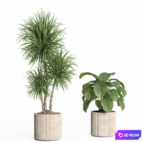 Indoor plant set 59-Concrete pot 3D Model Corona