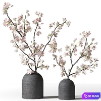 Two flowering branches in black vases 3D Model Vray, Corona