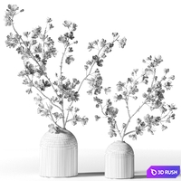 Two flowering branches in black vases 3D Model Vray, Corona