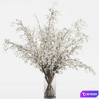 Bouquet 09 3D Model Vray, Corona