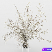 Bouquet 09 3D Model Vray, Corona