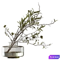 Bouquet of olive branches and wood 3D Model Vray, Corona