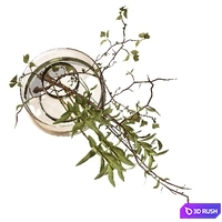Bouquet of olive branches and wood 3D Model Vray, Corona