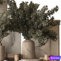 Vase and Plant Decorative Set 147 3D Model Vray, Corona