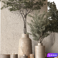 Vase and Plant Decorative Set 147 3D Model Vray, Corona