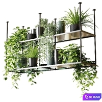 Hanging shelf with plants for the kitchen 3D Model Vray, Corona