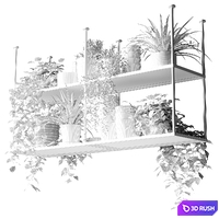 Hanging shelf with plants for the kitchen 3D Model Vray, Corona