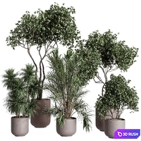 Tree in a concrete pot - indoor plant 569 3D Model Vray, Corona