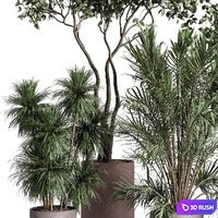 Tree in a concrete pot - indoor plant 569 3D Model Vray, Corona