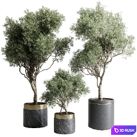 Tree in a marble pot - indoor plant 565 3D Model Vray, Corona