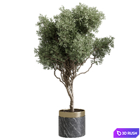 Tree in a marble pot - indoor plant 565 3D Model Vray, Corona