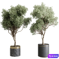 Tree in a marble pot - indoor plant 565 3D Model Vray, Corona