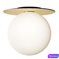 Liila Circular Flush Mount Light 3D Model Corona