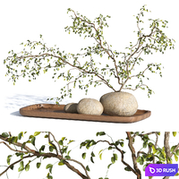 Plant decor 3D Model Corona