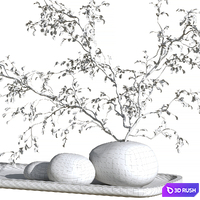 Plant decor 3D Model Corona