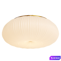 Ceiling Light 3D Model Corona