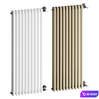 IRSAP ELLIPSIS | Radiator 3D Model Corona