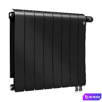 Radiator Royal Thermo Infinity 500 Noir Sable 8 3D Model Corona