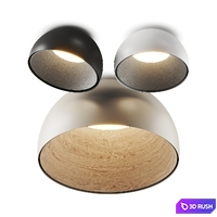 Vibia Duo Petra Ceiling Lamp 3D Model Vray, Corona