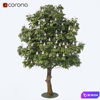 Chestnut 3D Model Corona