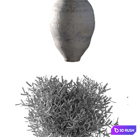 Olive trees. 2 models 3D Model Vray, Corona