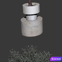 Olive trees. 2 models 3D Model Vray, Corona