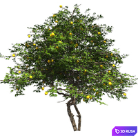 Lemon Tree with fruits and blossom 3D Model Vray, Corona
