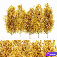 Cypress Oak_Fall 5 tree 3D Model Vray, Corona