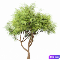 New Plant Beautiful Tree Japanese Cherry Velvet Mesquite Tree 3D Model Vray, Corona