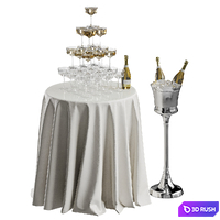 A slide of champagne 3D Model Corona