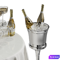 A slide of champagne 3D Model Corona